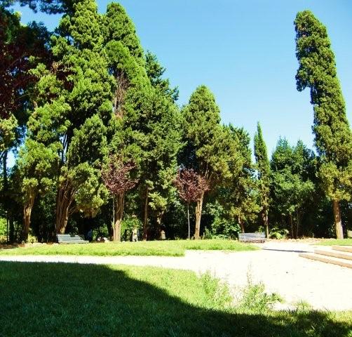 Diözesanes Picknick im Park
