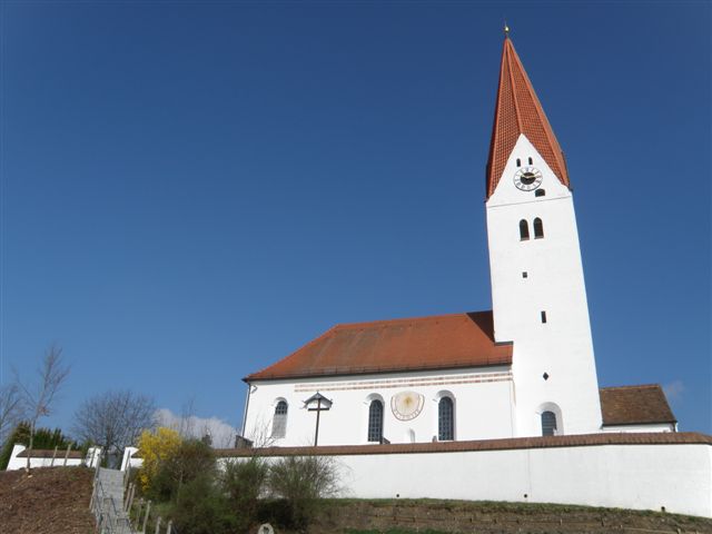 Niederhummel Fruehling 3