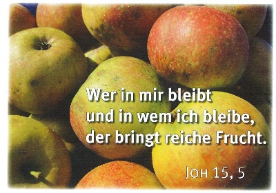 Bild zum ERstkommunionthema 2013