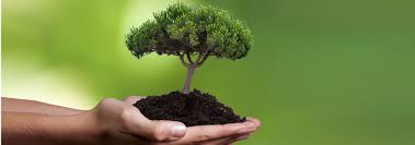 Nachhaltige Lebenstile