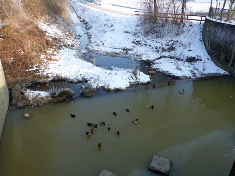 PVT_Winterimpressionen_2017 (7)