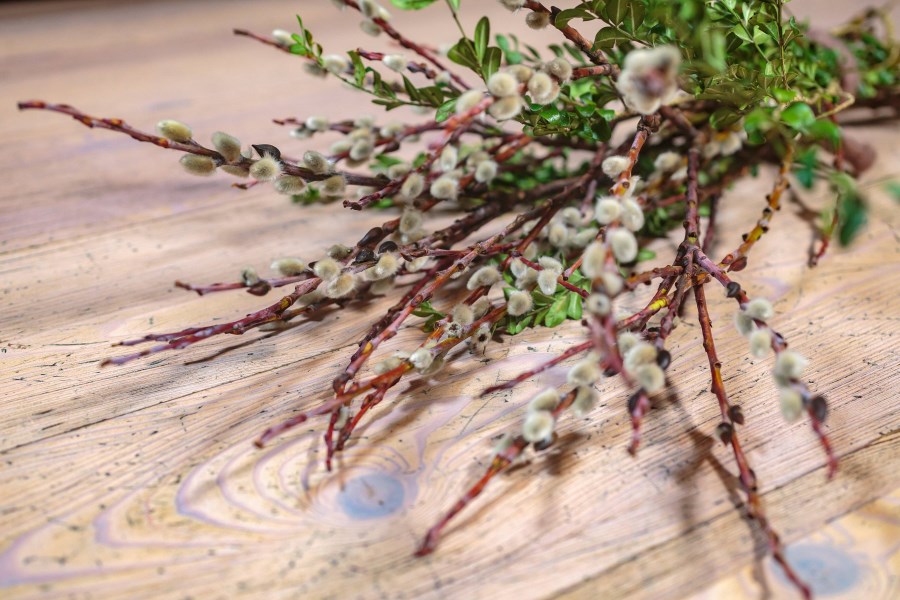 palmkätzchenstrauß zu palmsonntag