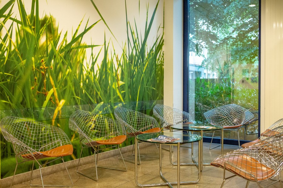 Foyer mit Grünpflanzen