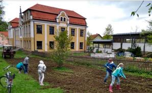 Blumenwiese am Pfarrweg