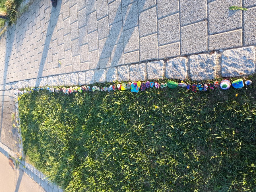 Steinschlange 15.4.2020