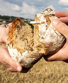 Hausgottesdienst 18. Sonntag im Jahreskreis