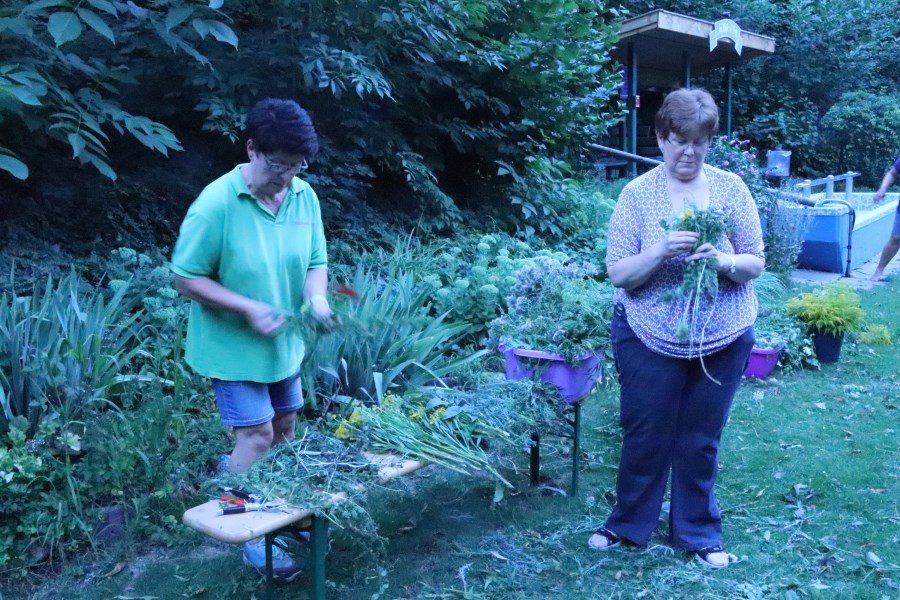 Kräuterbuschen 2020