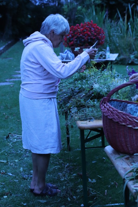 Kräuterbuschen 2020