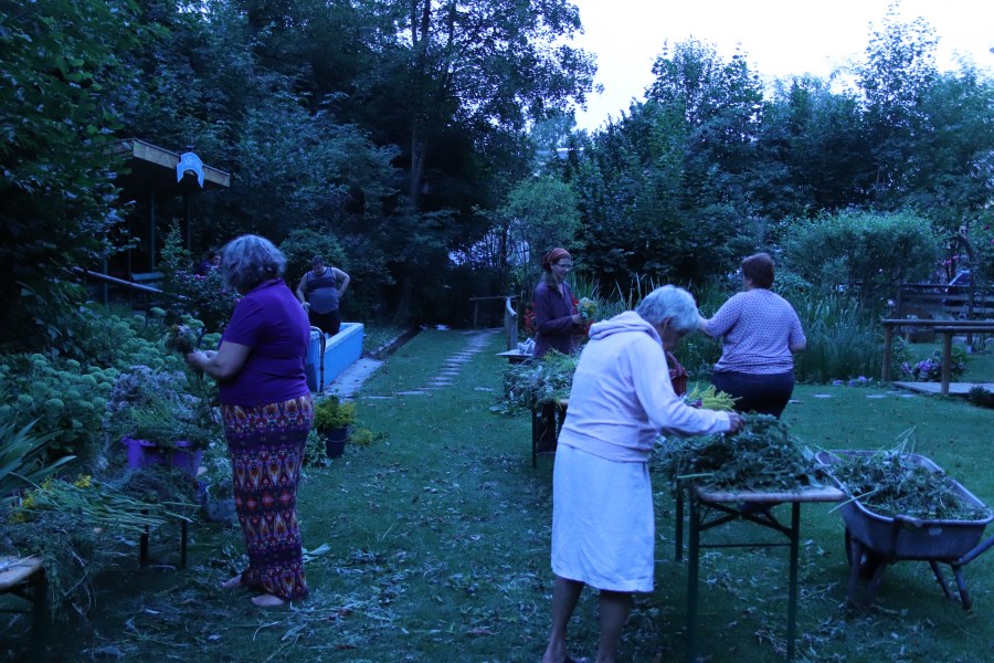 Kräuterbuschen 2020