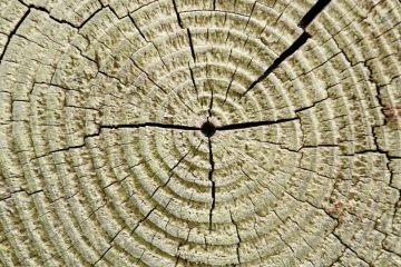 ds2_1407_by_h_potthast_pfarrbriefservice