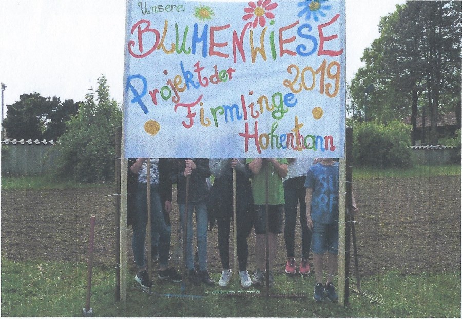 Firmlingsaktion 2019 Blumenwiese