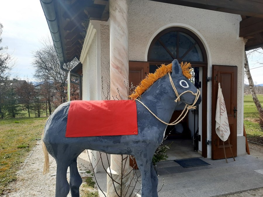 Palmesel_vonMinis_2021