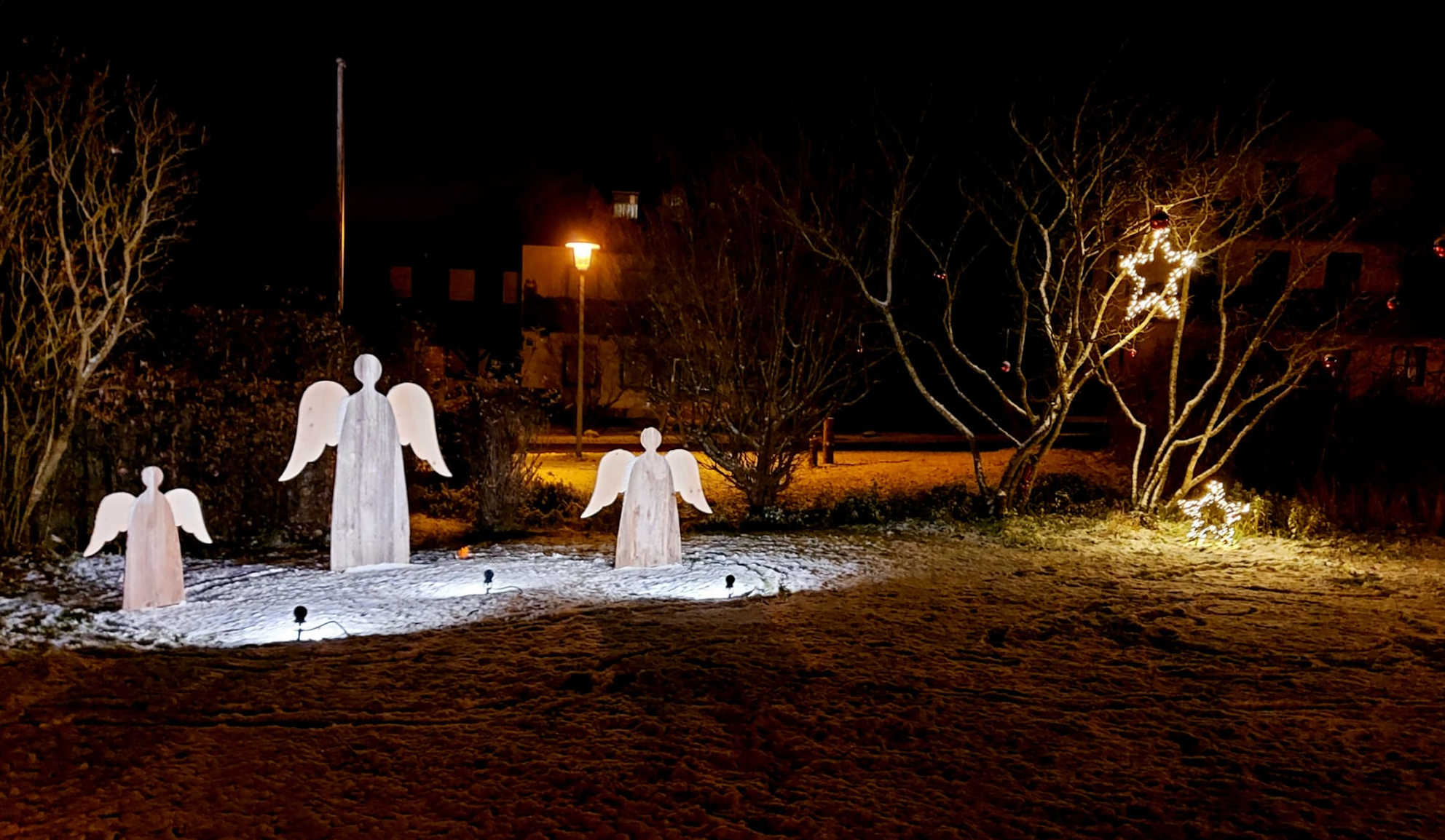 TörringerDorfweiher2021