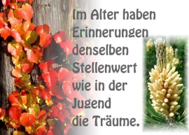 Bild Seniorengottesdienste