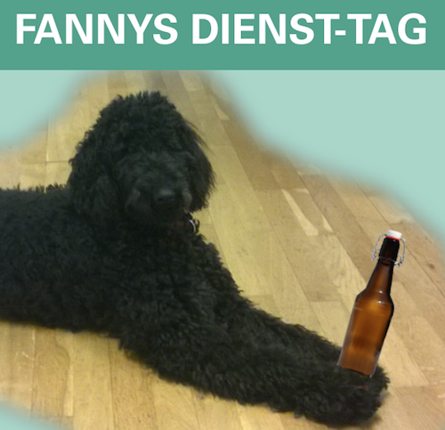 BANNER-Fanny-Mai-500