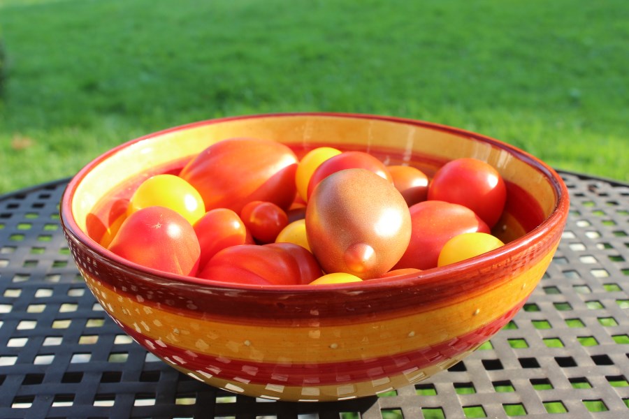 Schale mit Tomaten