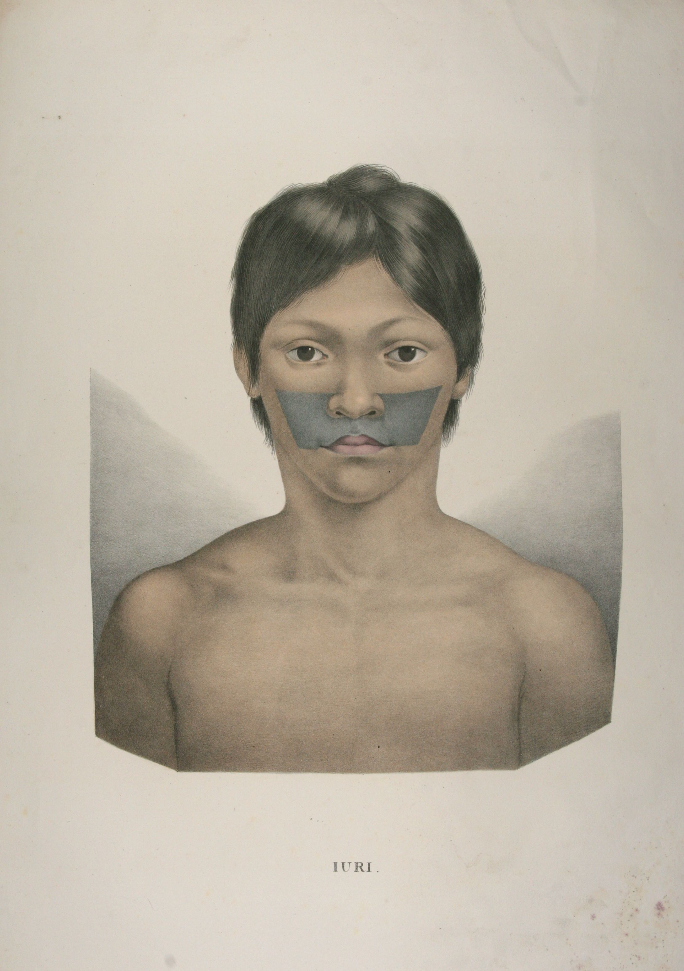 Farblithographie aus: Atlas zur Reise in Brasilien von Dr. v. Spix und Dr. v. Martius. Dritter und letzter Theil, 1831