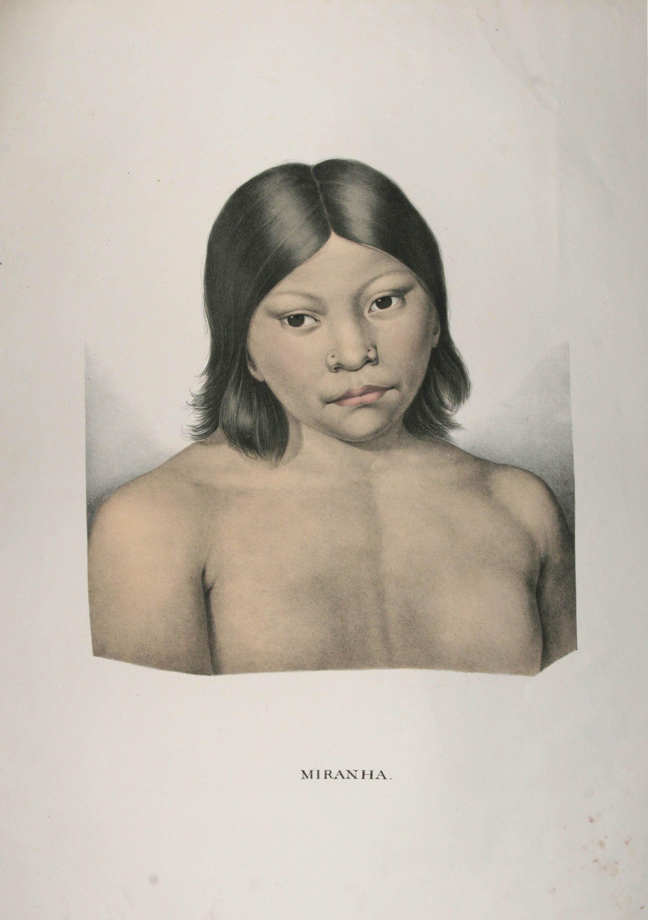 Farblithograhie aus: Atlas zur Reise in Brasilien von Dr. v. Spix und Dr. v. Martius. Dritter und letzter Theil, 1831