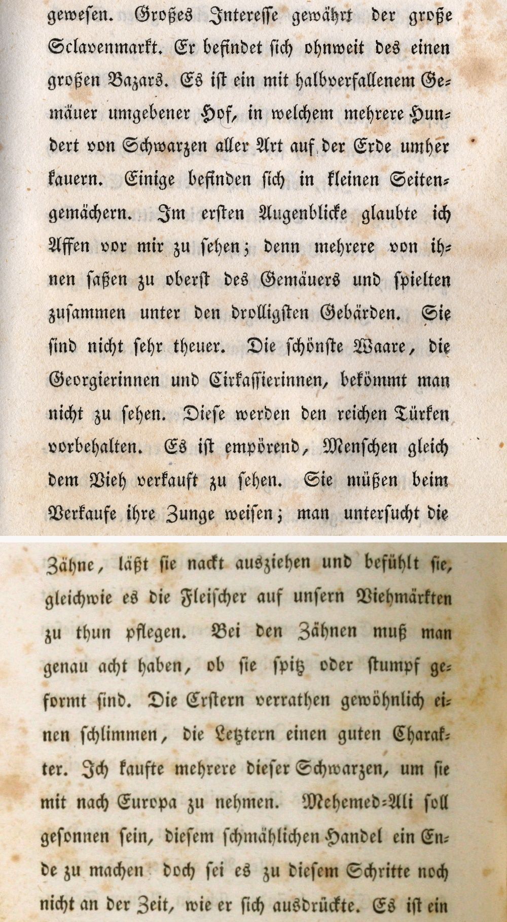 Wanderung nach dem Orient im Jahre 1838. Unternommen und skizzirt von dem Herzoge Maximilian in Bayern, München 1839