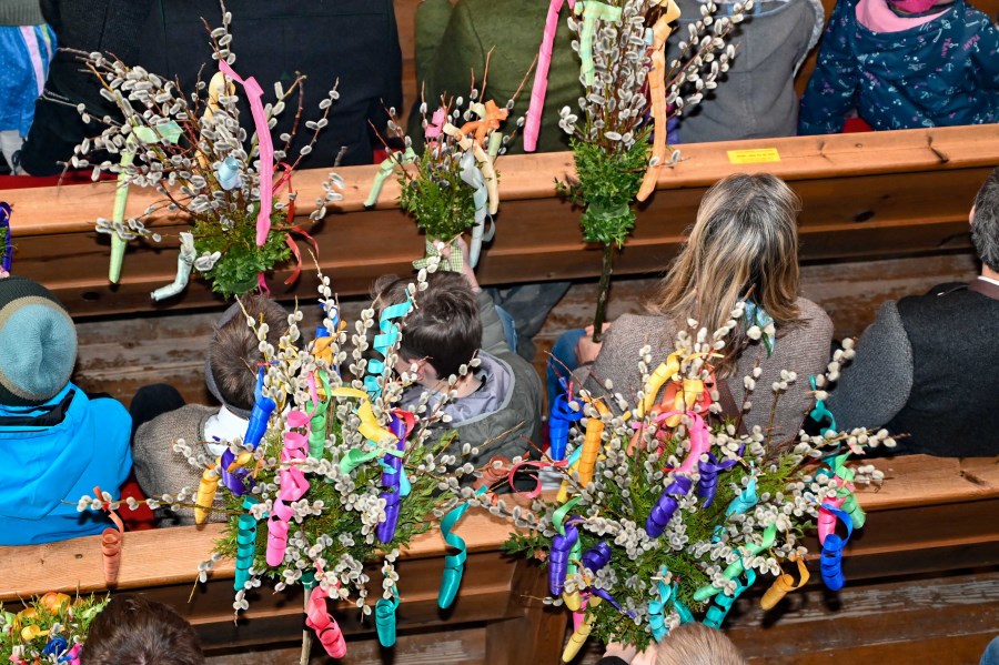 farbenfrohe Palmbuschen