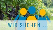 Rubrikbild_Wirsuchen