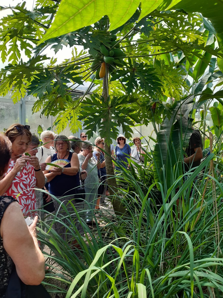 20230818 KDFB Ausflug Tropenhaus 02