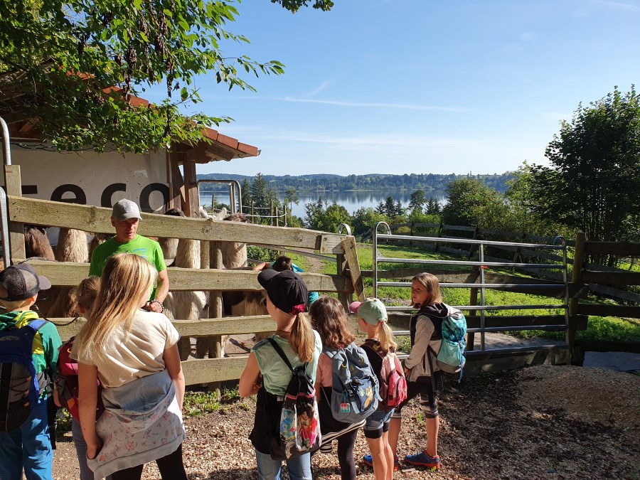 Robert erklärt wie die Lamas zu führen sind