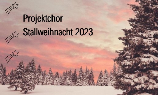 Projektchor