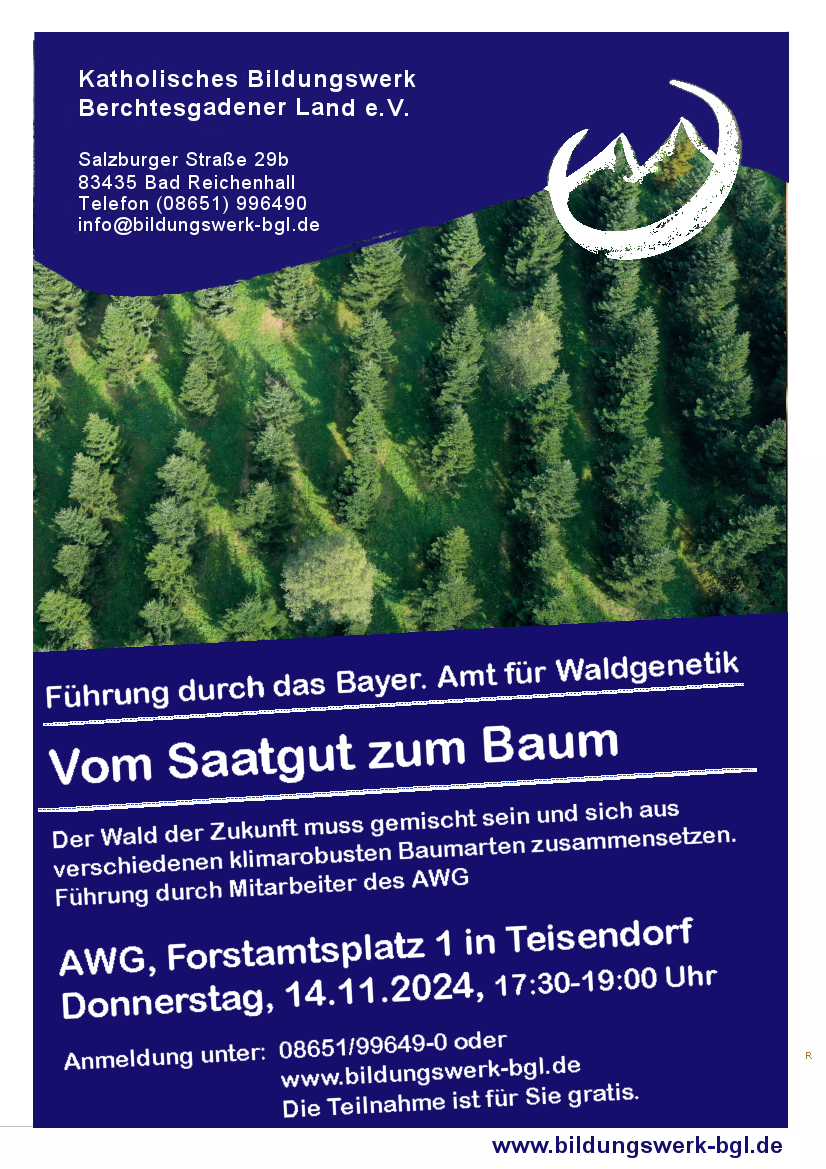 Vom Saatgut zum Baum