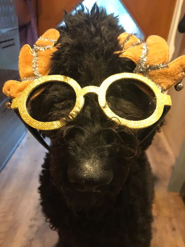 Fanny_Dezember_2023_380