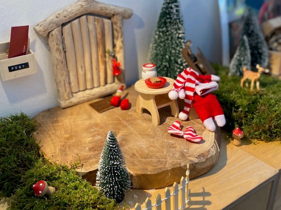 Jonte der Weihnachtswichtel