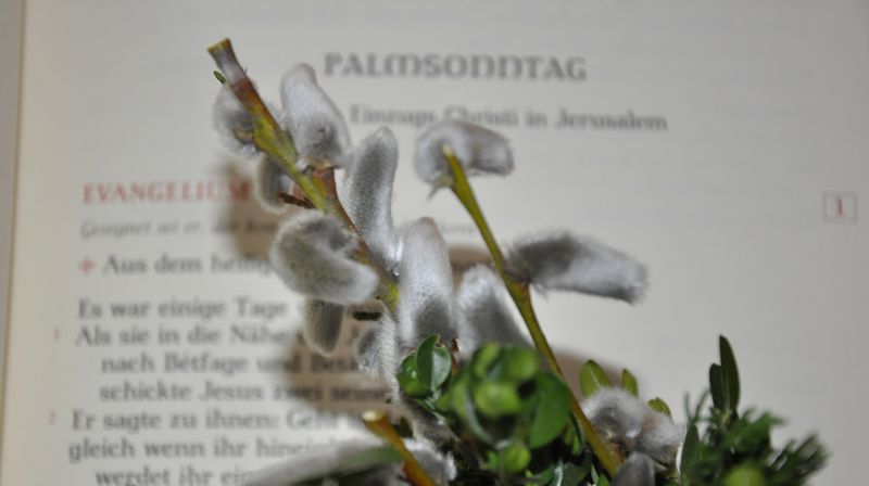 Evangelium am Palmsonntag
