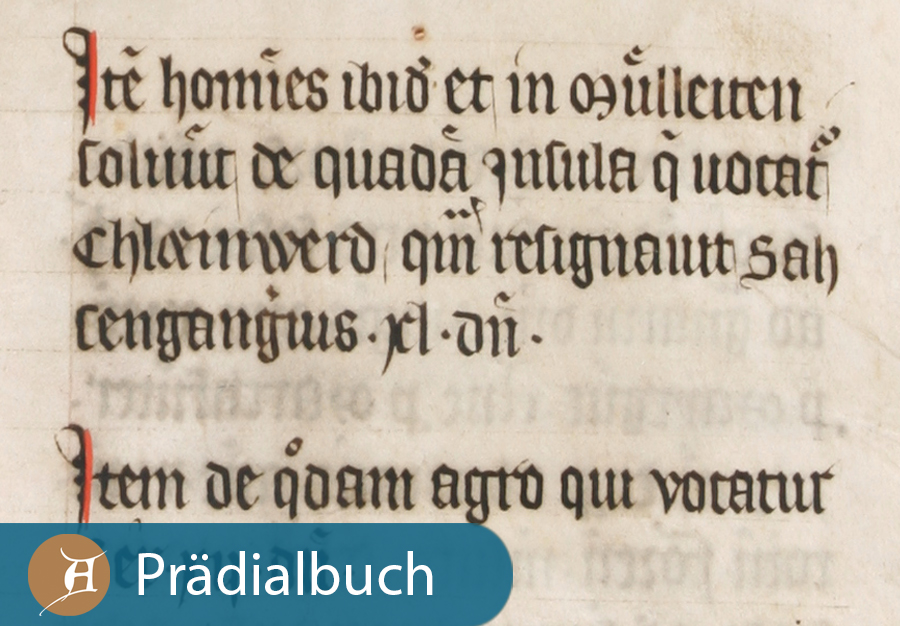 Grafik Prädialbuch von 1316