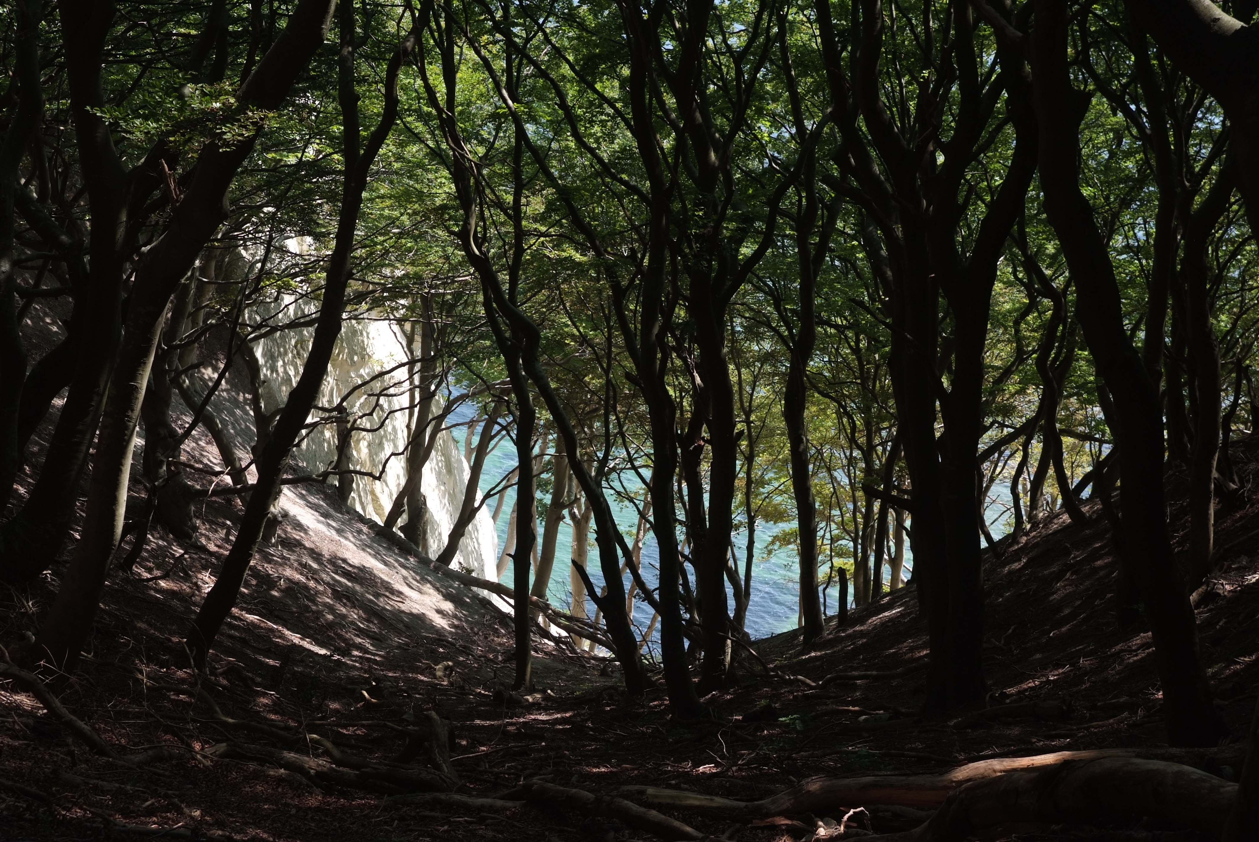 Martin Holzner Strand