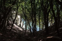 Krankenpastoral, Stimmungsbild