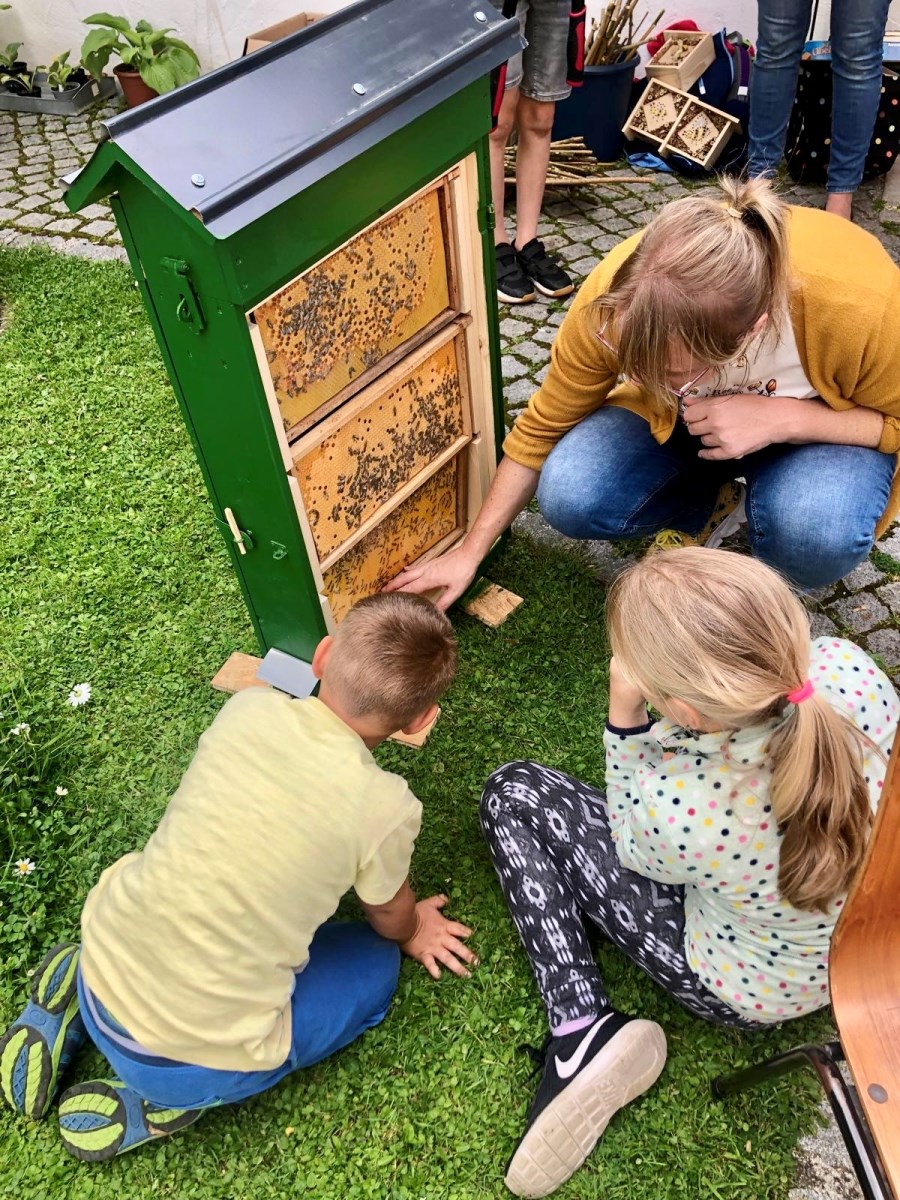BüchereiBienen2024-3
