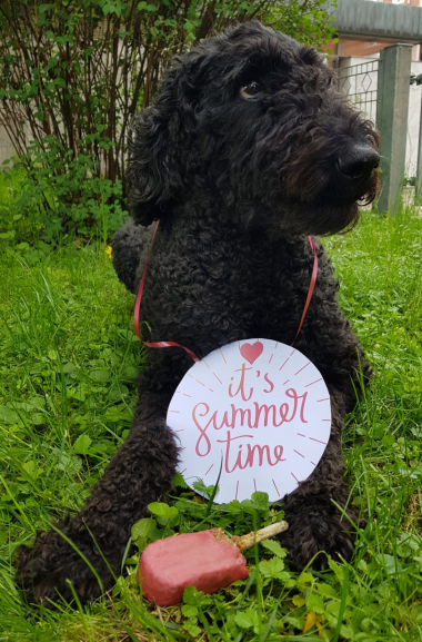 2024-06-03-BILD-Fanny-380