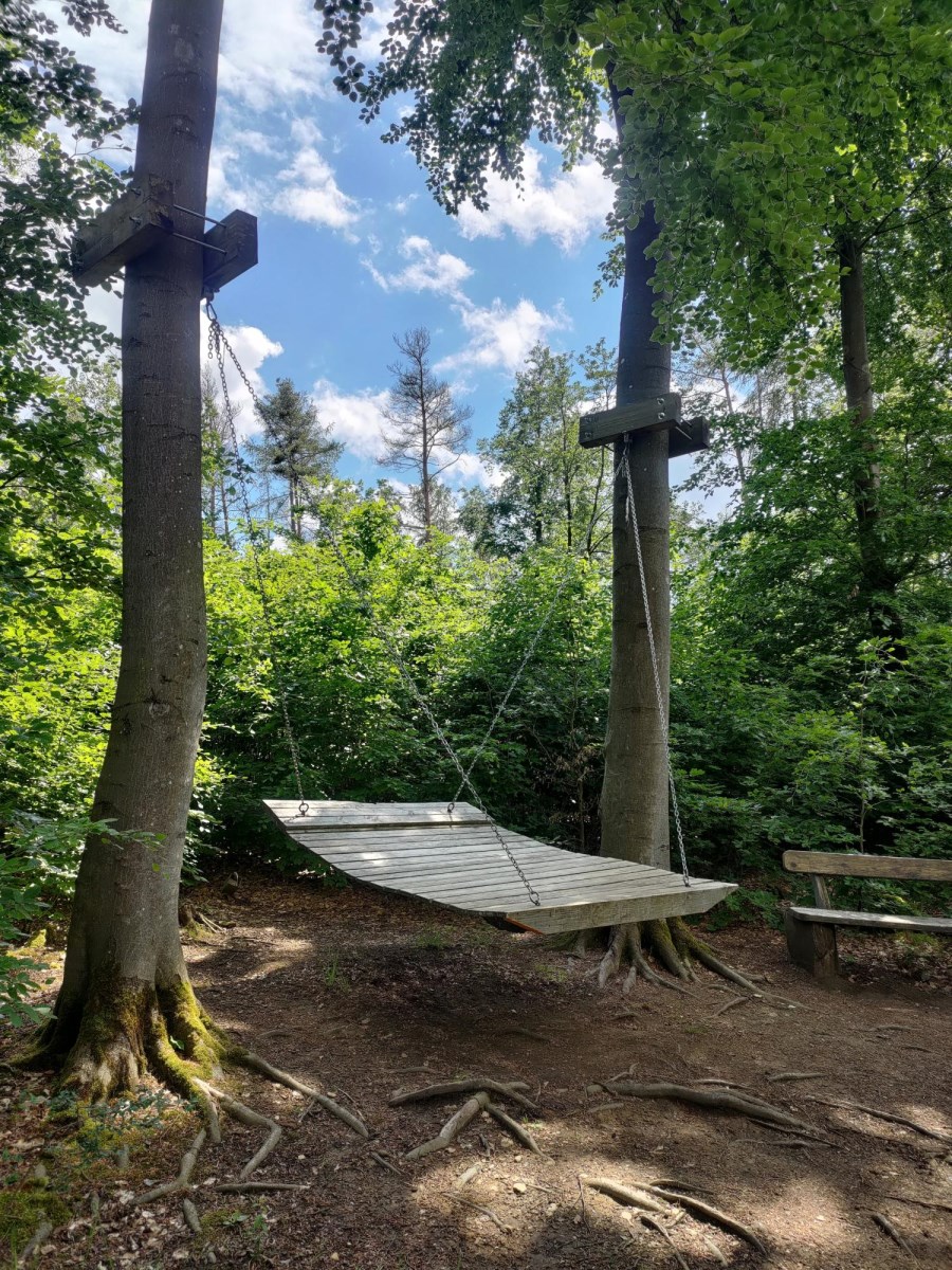 Hängematte im Wald
