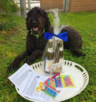 2024-07-02-BILD-Fanny-Juli2024-380