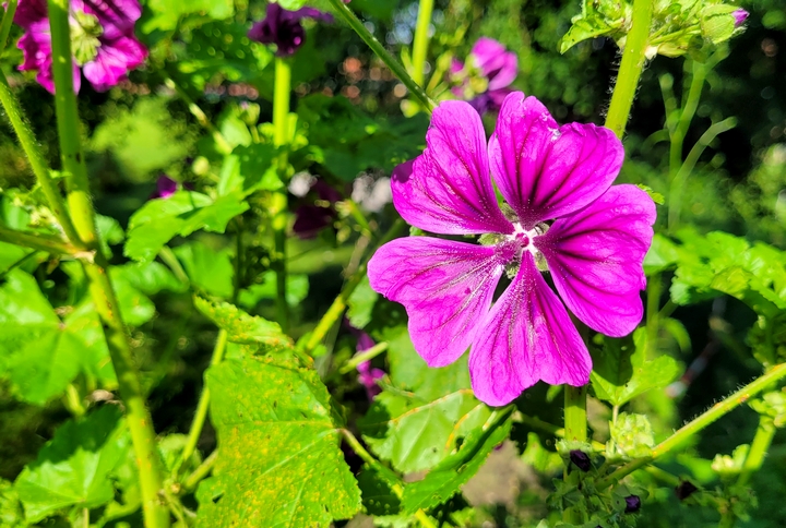 Impression Babensham