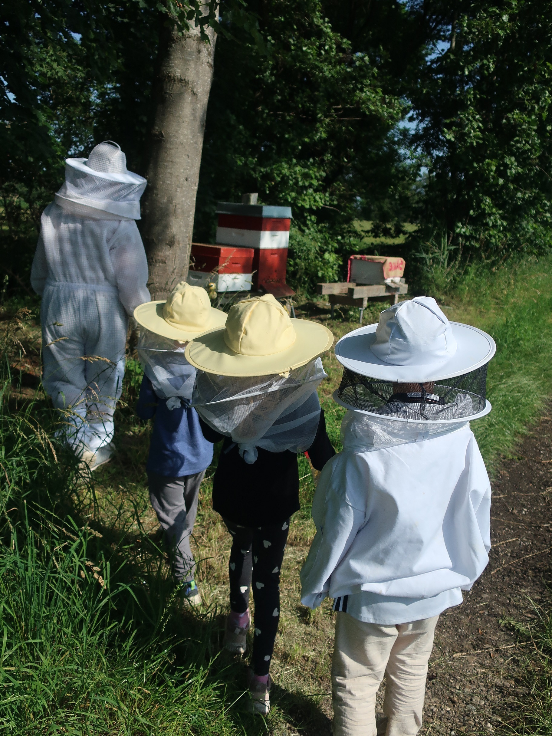 Die Kinder nähern sich in Schutzkleidung den Bienenstöcken.