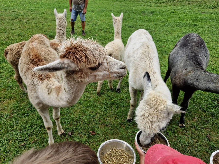 Ferienprogramm Pfarrverband Trostberg