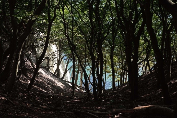 Bild zu Krankenpastoral, Dänische Küste