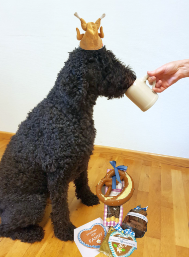 2024-10-01-BILD-Fanny-Wiesnkoenigin-380