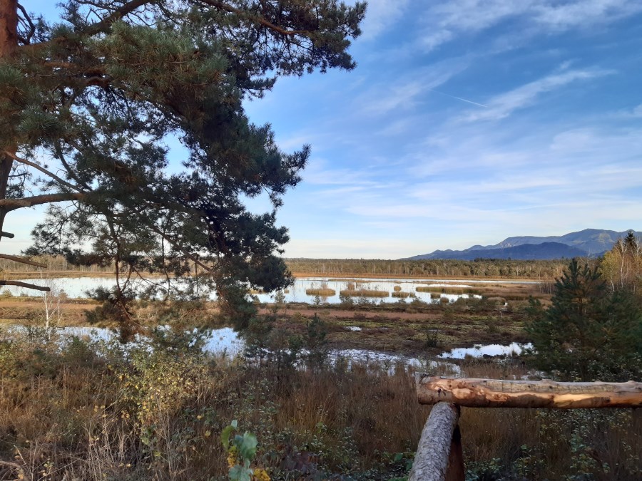 Besuch in der Sterntaler Filze