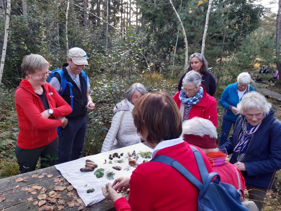 20241009 Besuch in der Sterntaler Filze 02