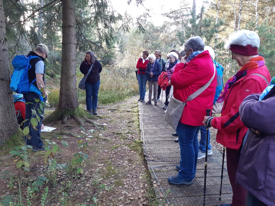 20241009 Besuch in der Sterntaler Filze 04