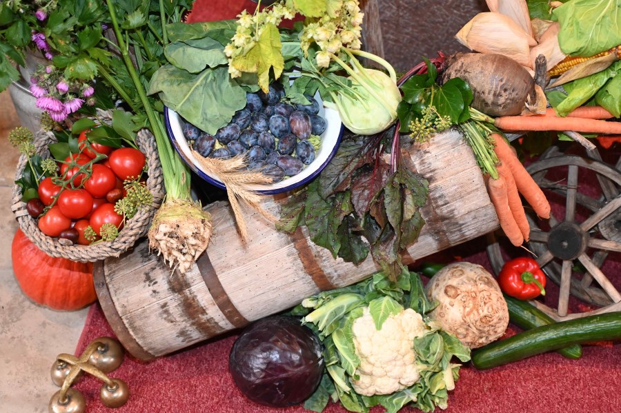 Erntedank WB Erntegaben