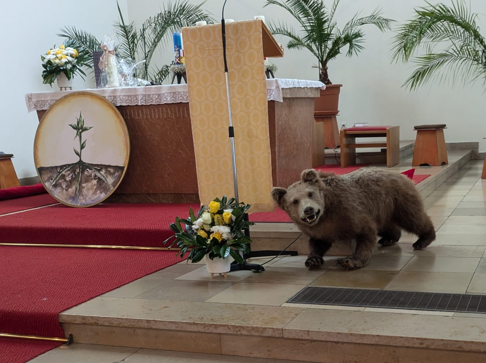 10-Jähriges PV Jubiläum