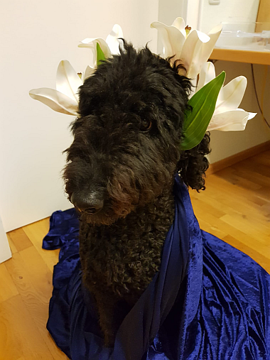 2024-11-03-BILD-Fanny-Nov-380